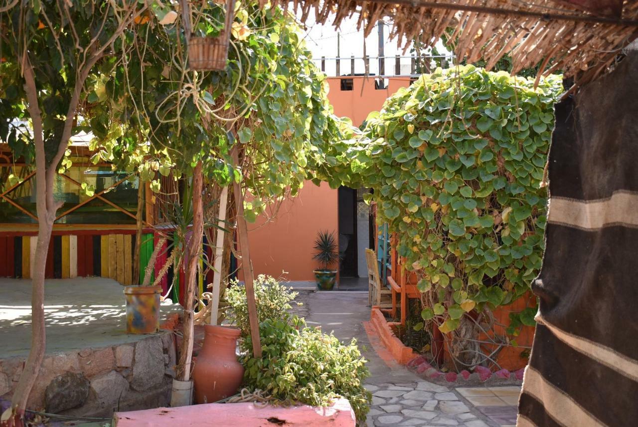 Bedouin Garden Village, Hotel Dive Aqaba Esterno foto